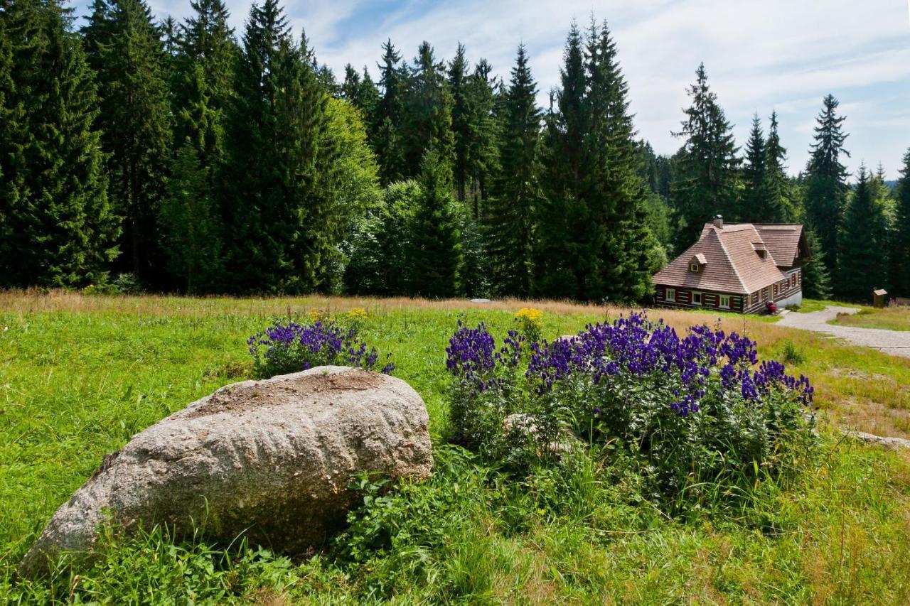 Penzion Valentino Bedrichov  Exterior photo